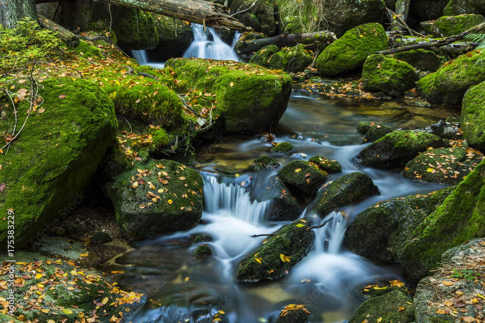 Waterfall falling on stones through autumn forest. Fall nature specification.