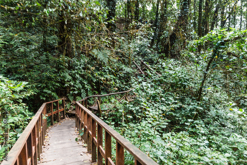 Wooden bridge path way with the forest at Kew Mae Pan Mountain Ridge in Chiang Mai  Thailand.