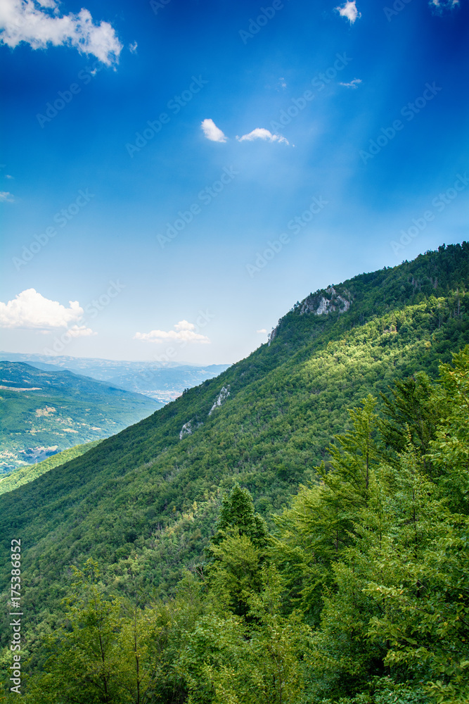 Fototapeta premium look at the beautiful mountain Tara