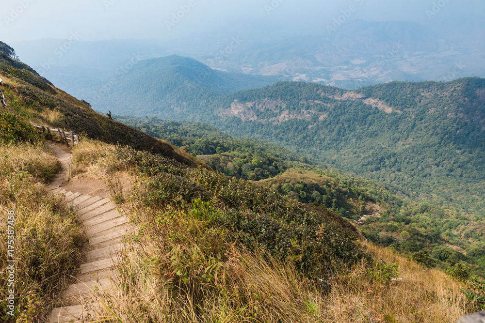 Naklejka premium Mountain with golden grass and green shrub with many mountains with fog in background at Kew Mae Pan Mountain Ridge in Chiang Mai, Thailand.