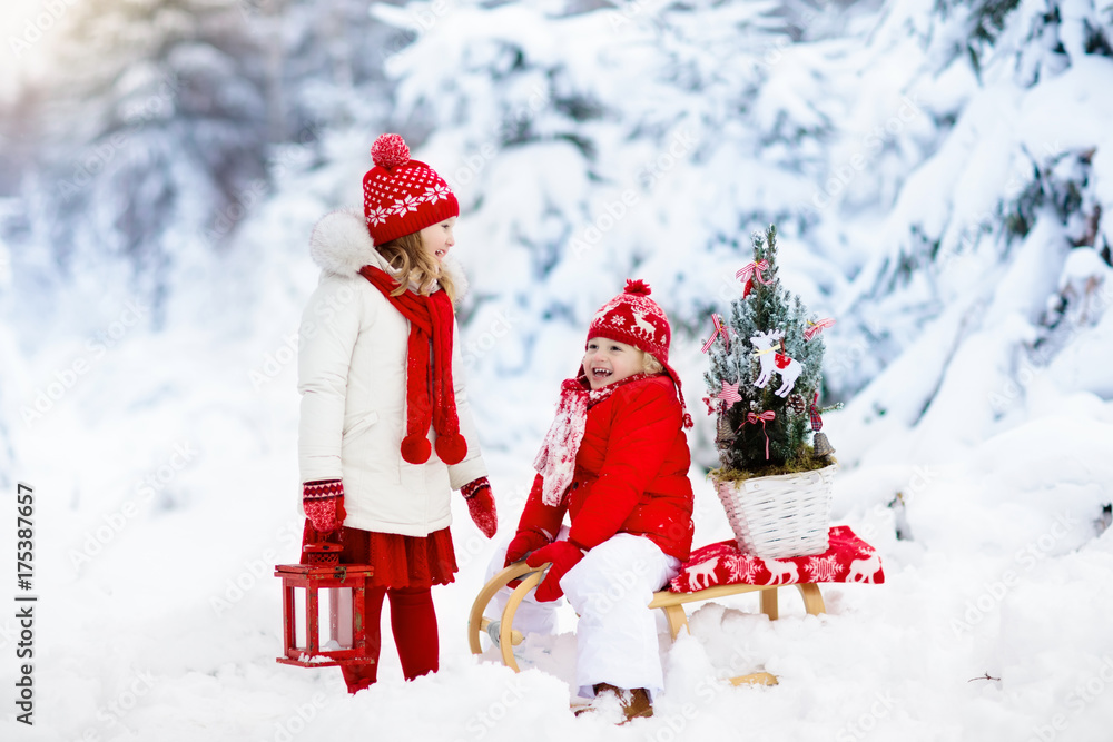 Children with Christmas tree. Snow winter fun for kids. Children with Christmas tree. Snow winter fun for kids.