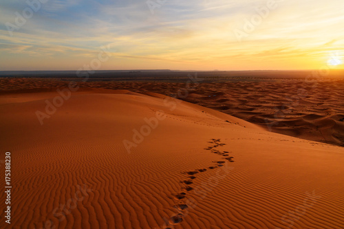 Sunrise in Erg Chebbi Sand dunes near Merzouga  Morocco