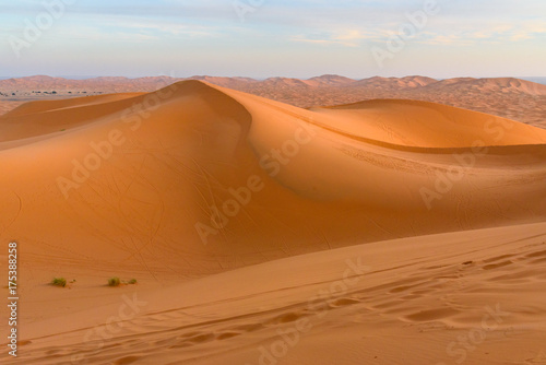 Erg Chebbi Sand dunes near Merzouga in the morning  Morocco