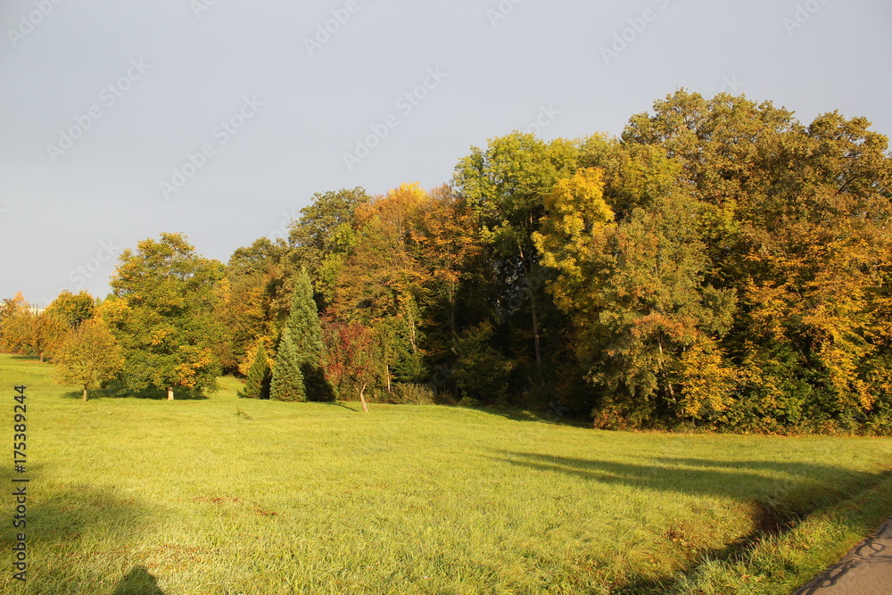 Fototapeta premium Der Herbst 3