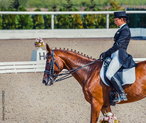 Young elegant rider woman and sorrel horse. Beautiful girl at advanced dressage test on equestrian competition. Professional female horse rider, equine theme. Saddle, bridle, boots and other details.