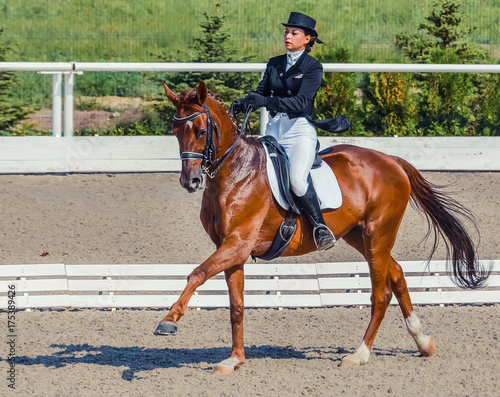 Young elegant rider woman and sorrel horse. Beautiful girl at advanced dressage test on equestrian competition. Professional female horse rider, equine theme. Saddle, bridle, boots and other details.