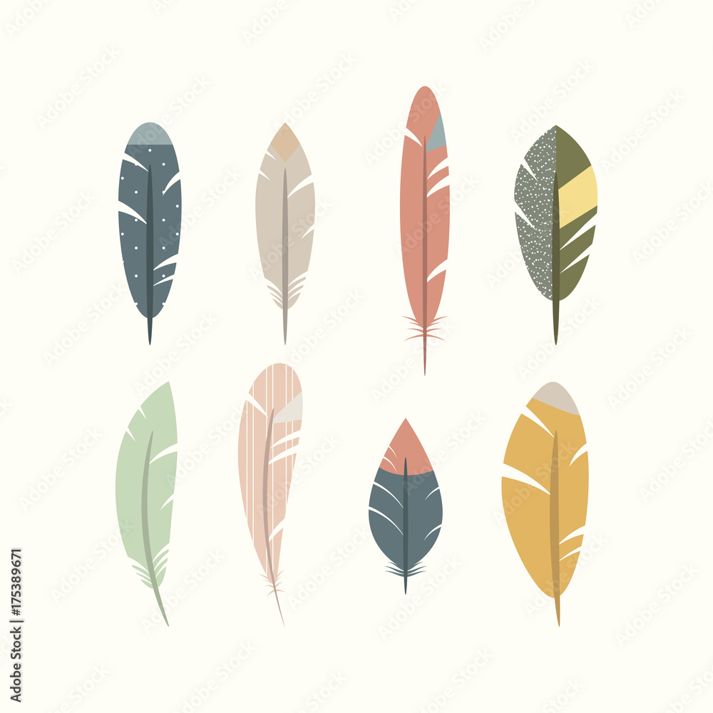 Different feathers of birds. vector illustration Different feathers of birds. vector illustration