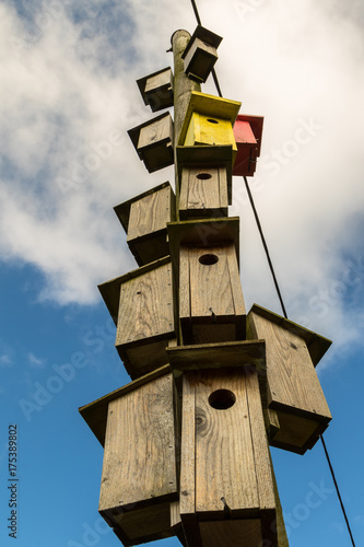 Many wooden boxes for birds hanging on an electricity pole