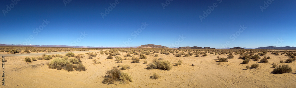 Wüste Mojave, USA, Nevada, Natur 