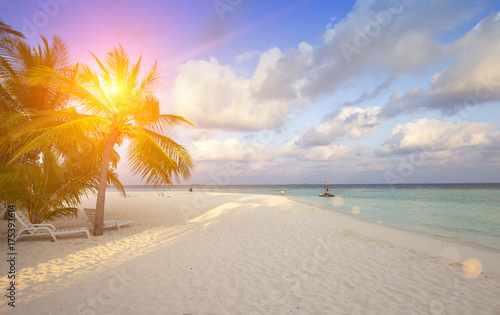 The island with palm trees in the ocean