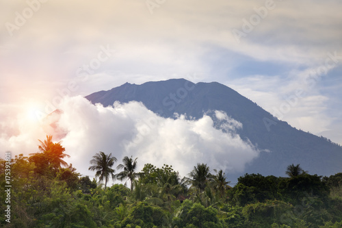 view through the jungle with palm trees on a volcano  Agung in clouds. Bali  Indonesia..