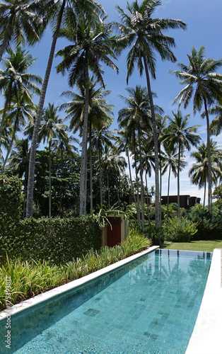 The pool under palm trees on the seashore  Bali  Indonesia..