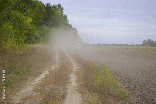 Пыльная грунтовая дорога вдоль леса