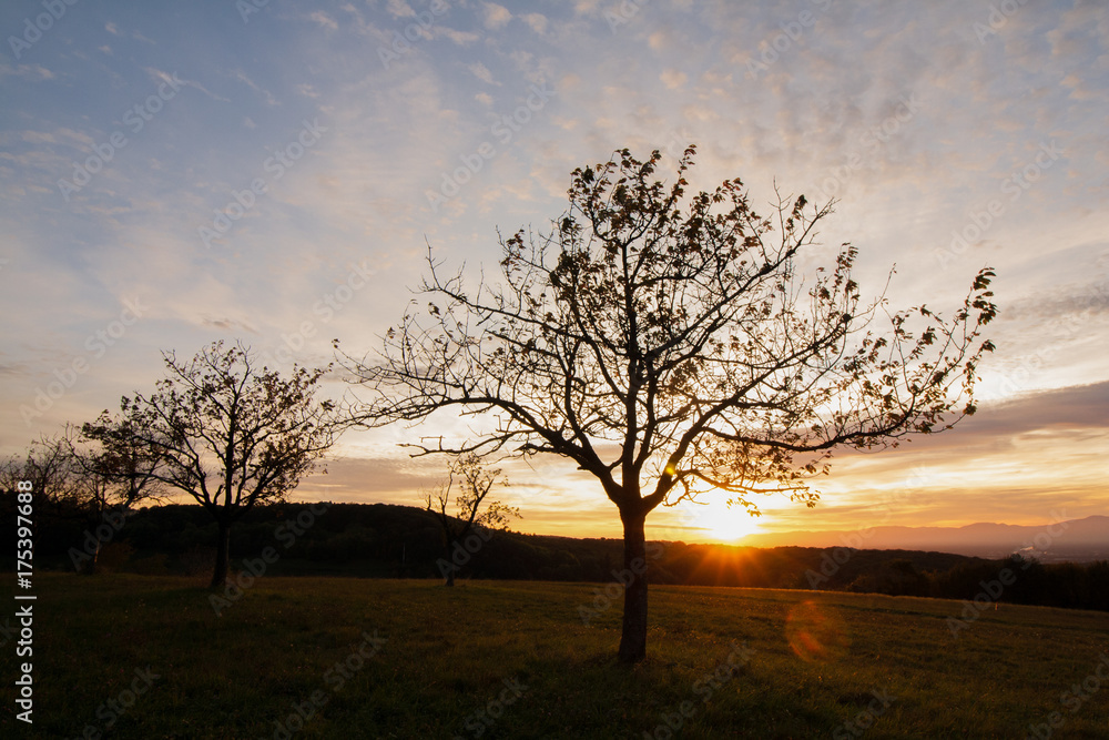 Herbstlicher Sonnenuntergang im Schwarzwald Herbstlicher Sonnenuntergang im Schwarzwald