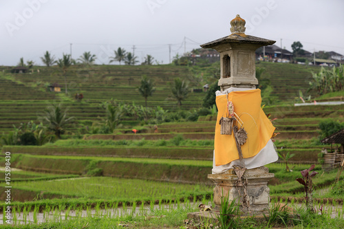 Bali: Reisterrassen Jatiluwih - Schrein mit Opfergaben für die Reisgöttin photo