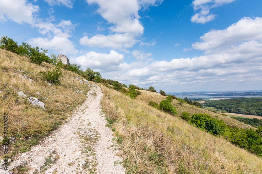 Meadow with rock and tree under the blue sky - landscape on small mountain