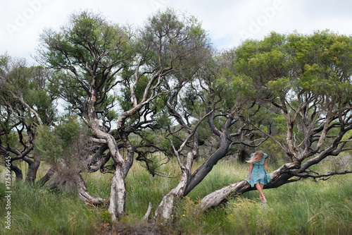 girl in tree photo