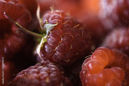 Ripe raspberry closeup photo