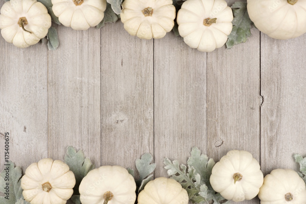 Autumn double border of white pumpkins and silver leaves over a rustic ...