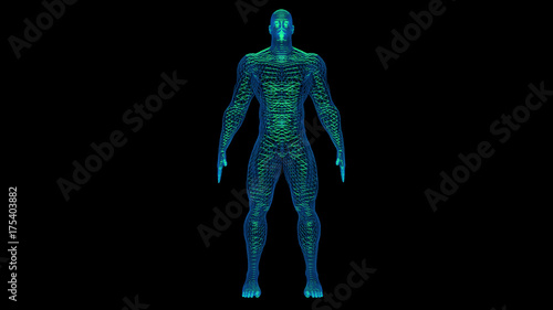 Wireframe 3d man with glowing green filaments inside body