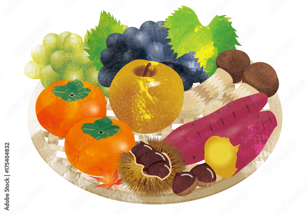 Watercolor 水彩 秋の味覚のイラスト栗 梨 柿 葡萄 Illustration Of Autumn Taste Stock Illustration Adobe Stock