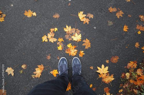 A man stands on asphalt street with colorful autumn season leaves on the floor. Point of view perspective used. 