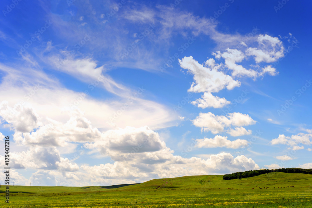 Green Pasture and Blue Summer Sky