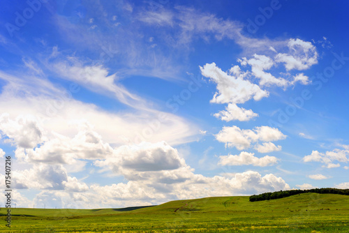 Green Pasture and Blue Summer Sky