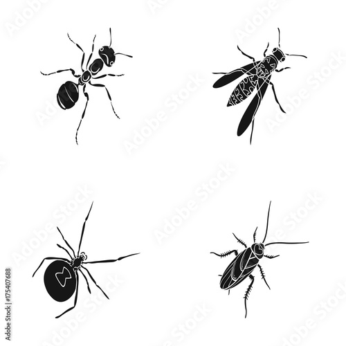 An insect arthropod, an osa, a spider, a cockroach. Insects set collection icons in black style vector symbol stock isometric illustration web.