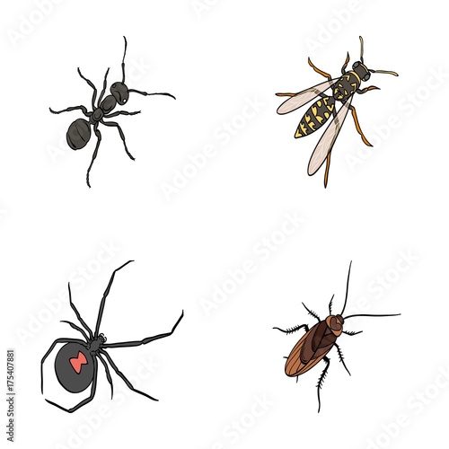 An insect arthropod, an osa, a spider, a cockroach. Insects set collection icons in cartoon style vector symbol stock isometric illustration web.
