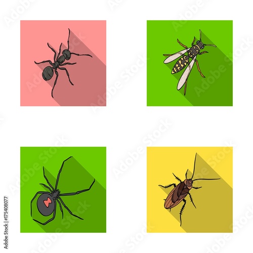 An insect arthropod, an osa, a spider, a cockroach. Insects set collection icons in flat style vector symbol stock isometric illustration web.