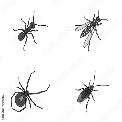 An insect arthropod, an osa, a spider, a cockroach. Insects set collection icons in monochrome style vector symbol stock isometric illustration web.