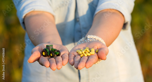 Tractor and soybean in farmer's hands