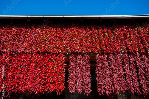 Red peppers dry on house in Serbian village Donja Lokosnica photo