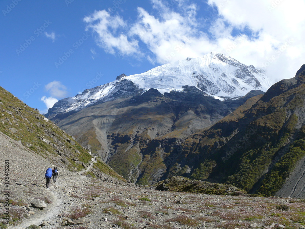 Way to the Tilicho Base Camp, Beautiful mountain path surrounded by snow capped Himalayas