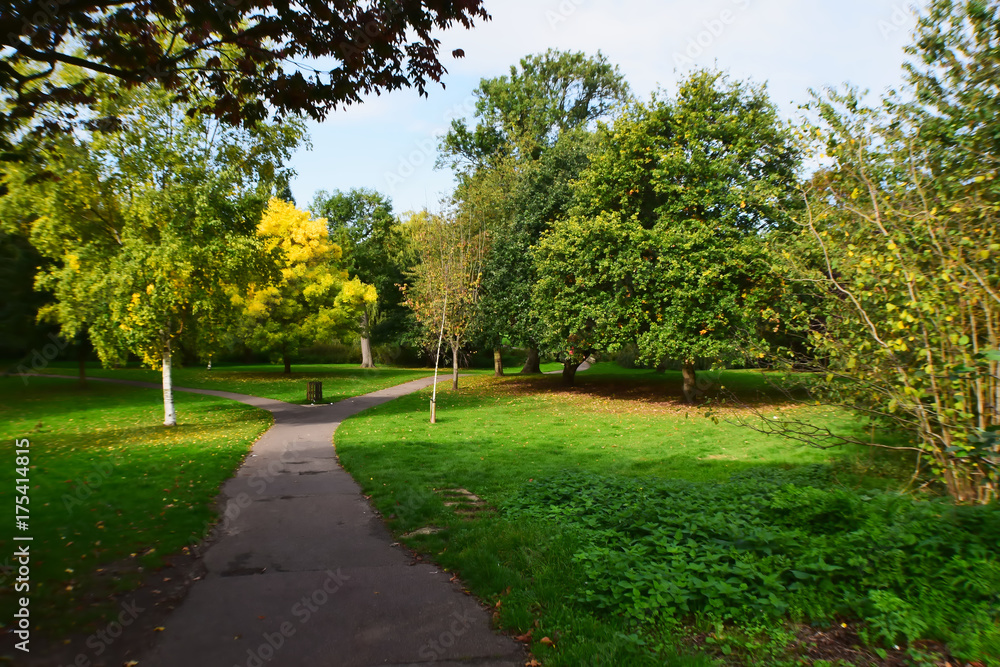 Park Split Path View