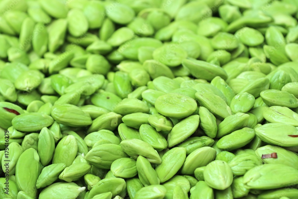 Bitter bean Bitter bean