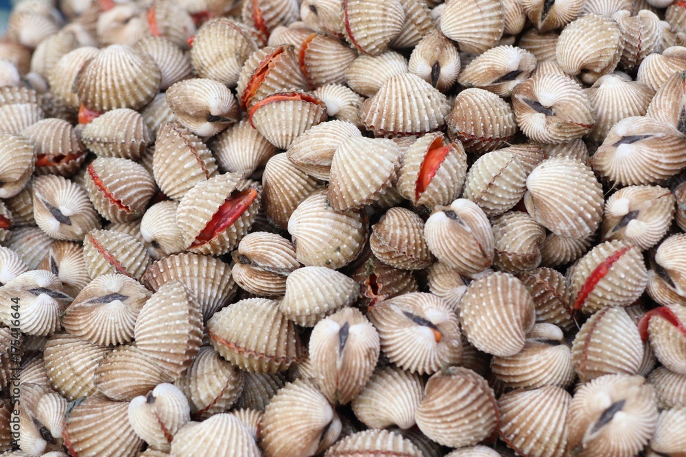 Cockles Cockles