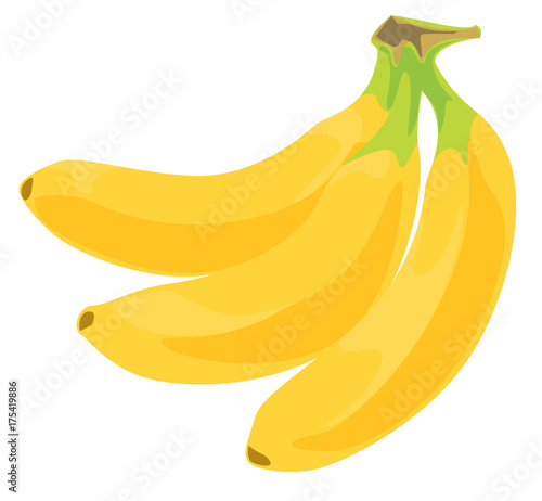バナナの房