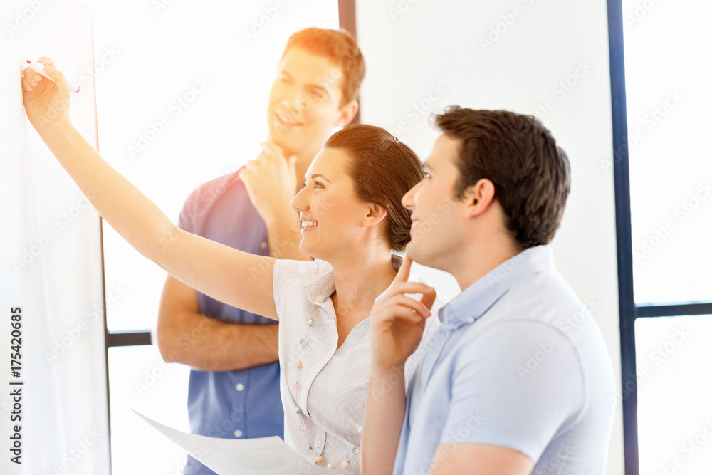 Fototapeta premium Business meeting with presentation