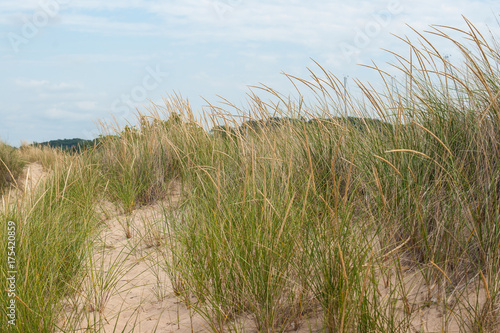 Indiana Dunes 