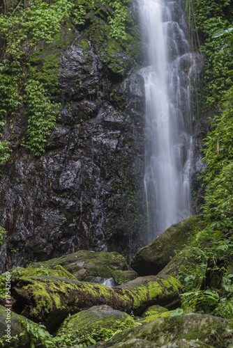 tropical waterfall in deep forest © chokniti