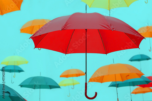the umbrella flies background