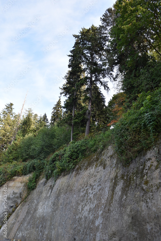 Obraz premium nature