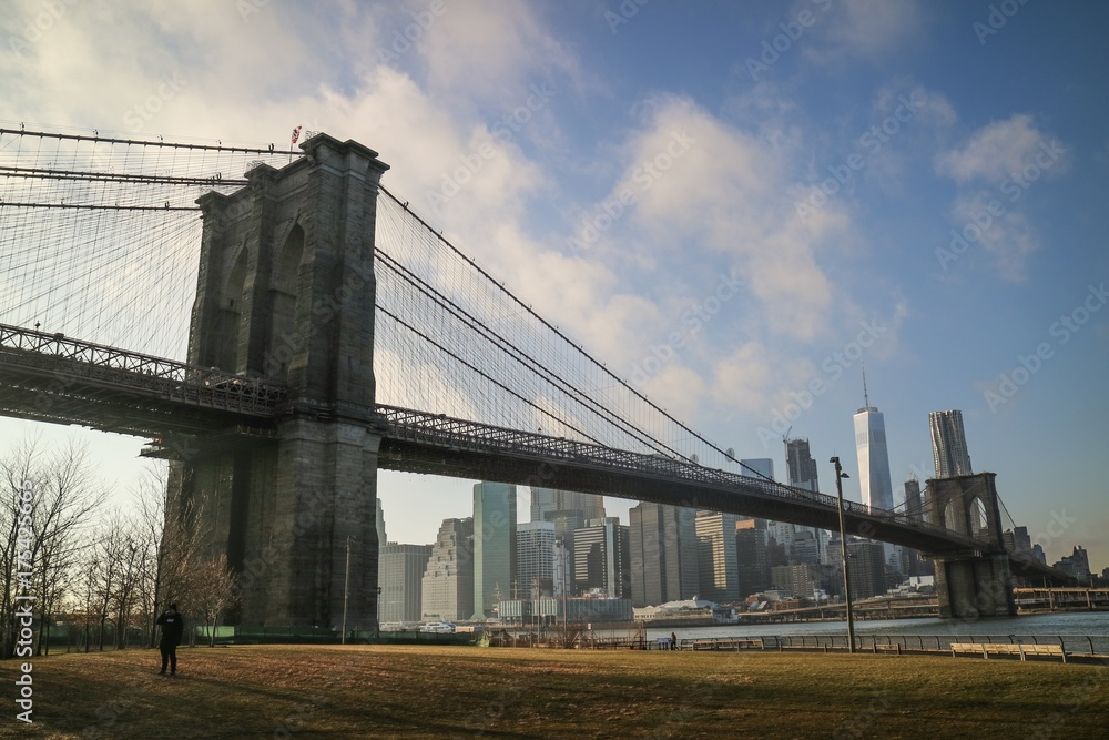 Fototapeta premium Brooklyn bridge park