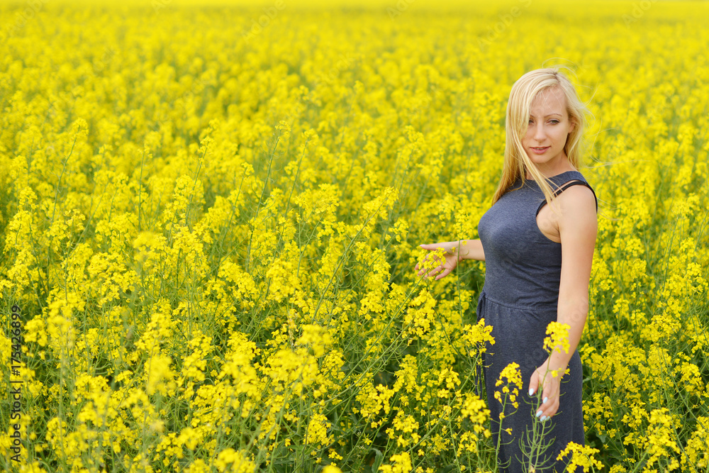 field of canola field of canola
