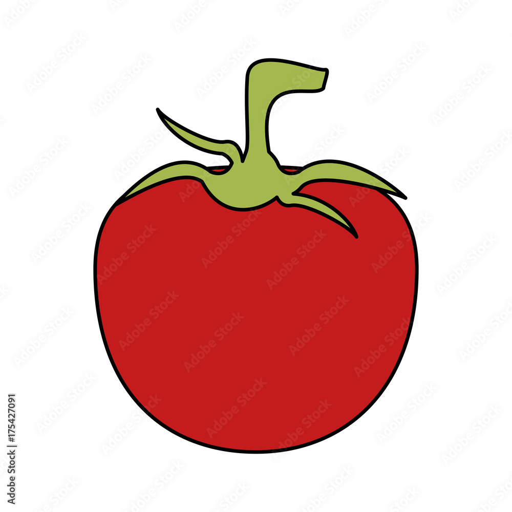 tomato fruit icon image vector illustration design tomato fruit icon image vector illustration design