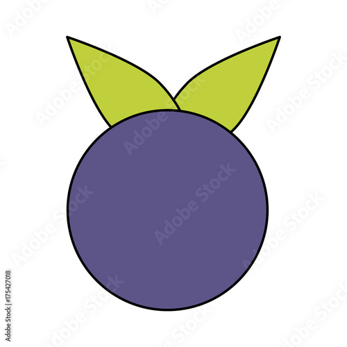 blueberry fruit icon image vector illustration design 