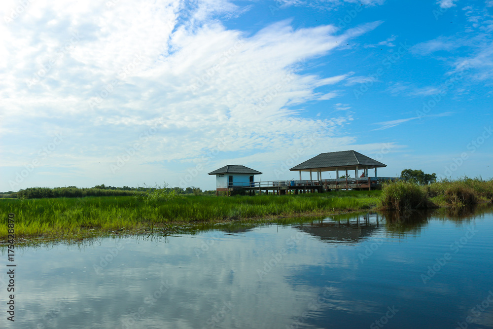 Obraz premium Landscape View at Thalay Noi Waterfowl Park,Phatthalung, THAILAND