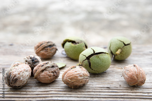 Walnuts and walnut seed pods